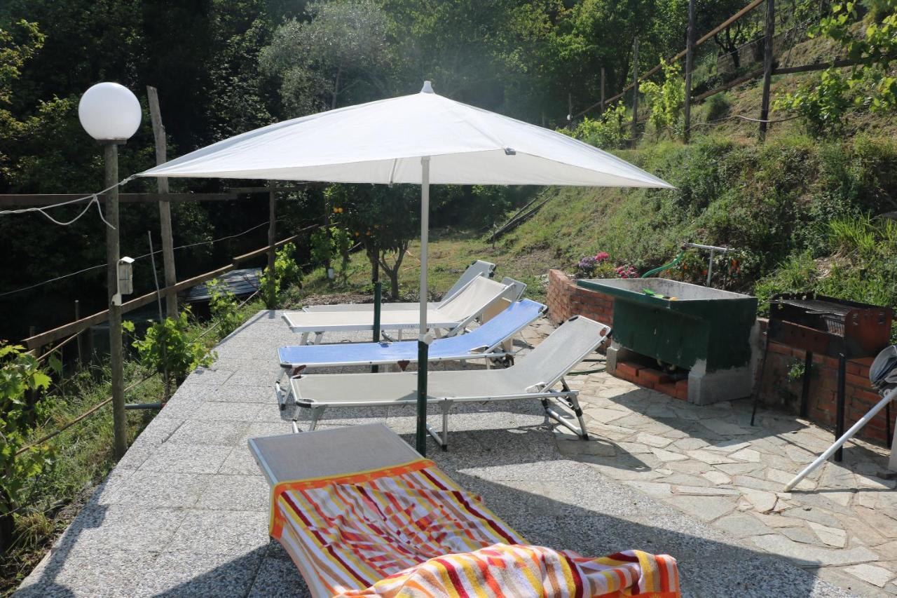 Villa Maremonti - Con 3 Piscine Sestri Levante Kültér fotó