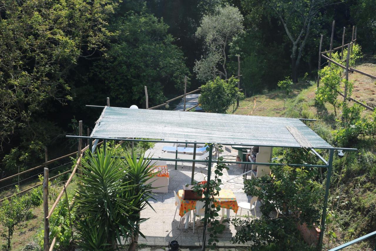 Villa Maremonti - Con 3 Piscine Sestri Levante Kültér fotó